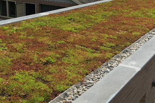 Plat dak met daarop sedum
