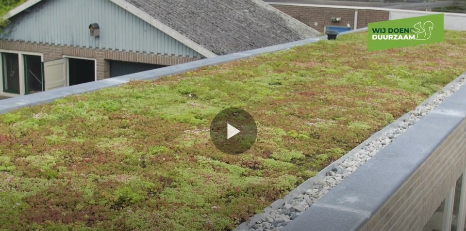 Plat dak met daarop sedum