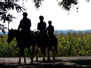 Paard rijden